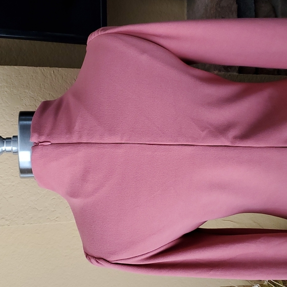 Fashion Nova Mauve Pink Long Sleeve Turtleneck Bodycon Mini Dress SIZE: M - Picture 5 of 13